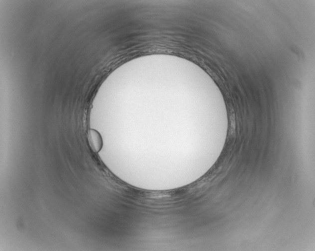 X0000115270278200911271952