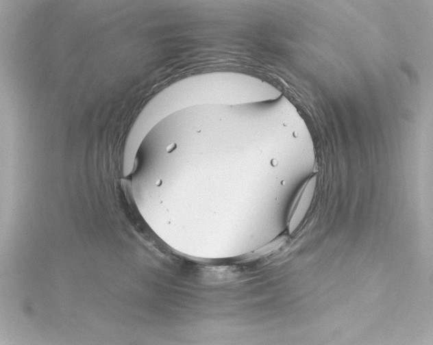 X0000115270281200911271952