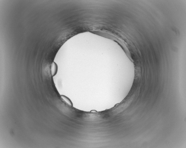 X0000115270286200911271952