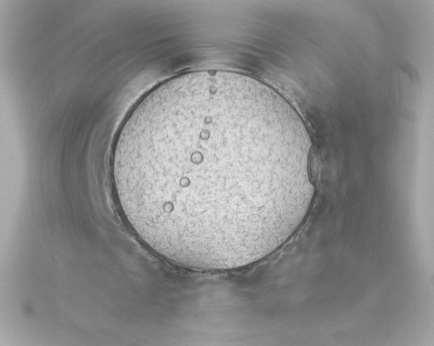 X0000115270289200911271951