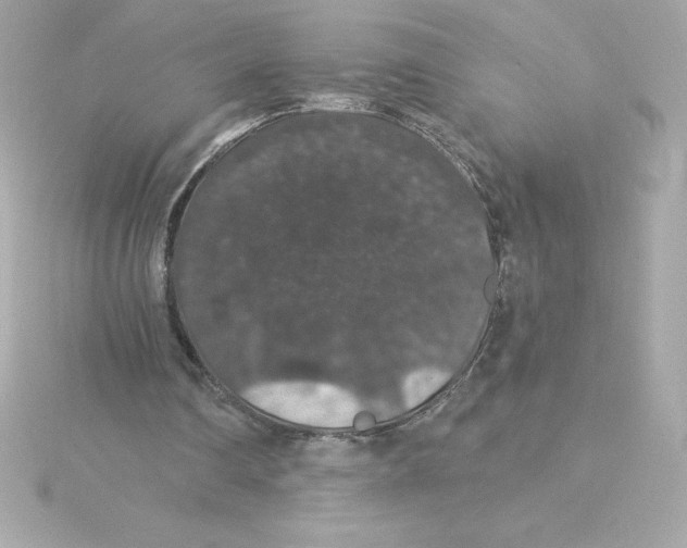 X0000115270290200911271951