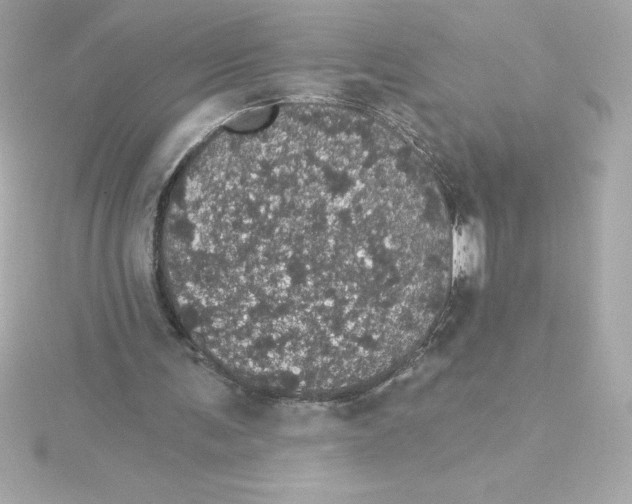 X0000115270291200911271951