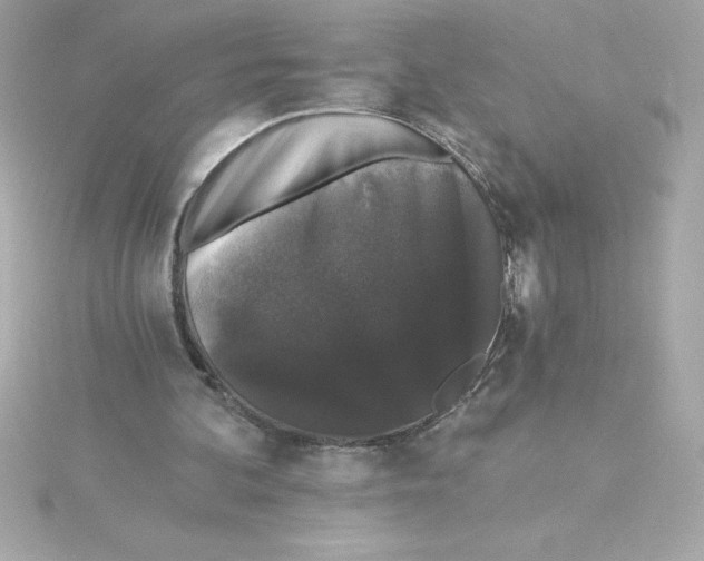 X0000115270292200911271951