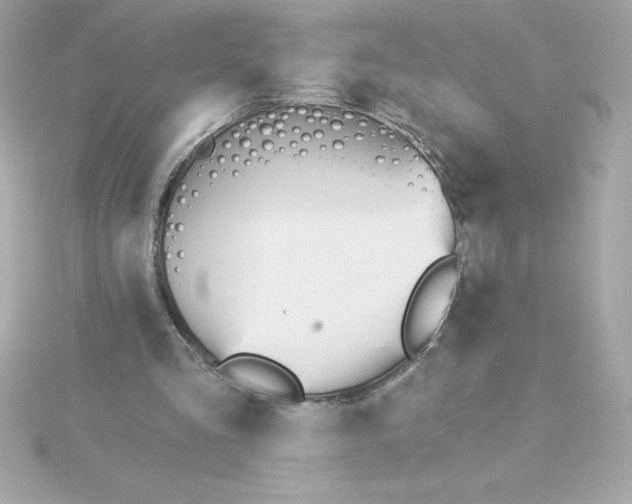 X0000115270293200911271951