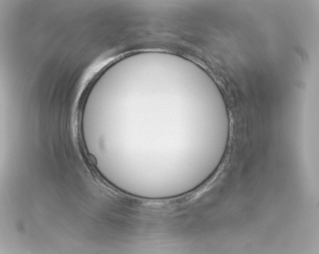 X0000115270294200911271951