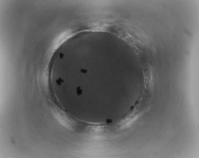 X0000115270295200911271951