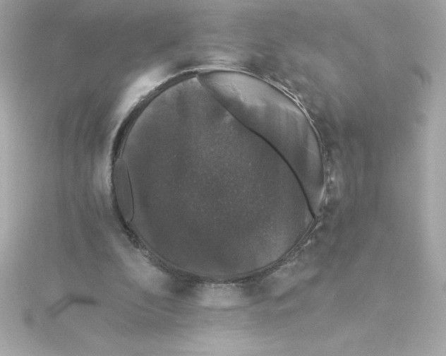 X0000115270296200911271951