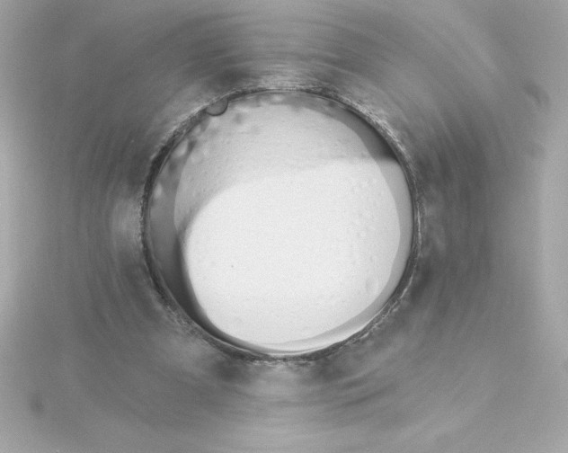 X0000115270297200911271951