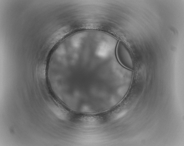 X0000115270299200911271951