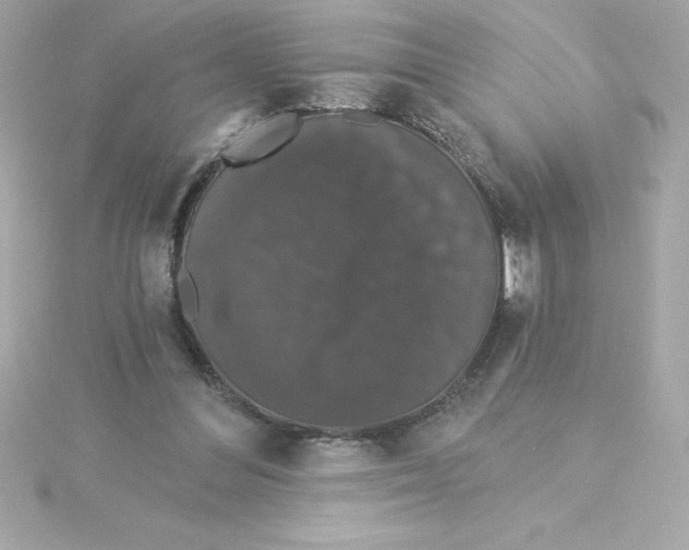 X0000115270300200911271951