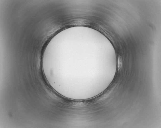 X0000115270301200911271951