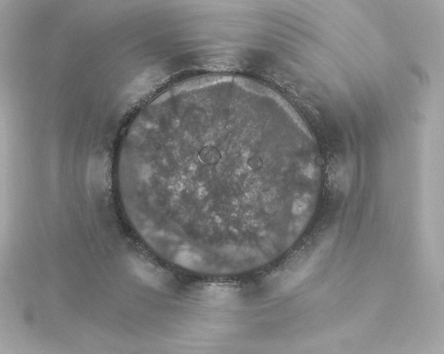 X0000115270303200911271951