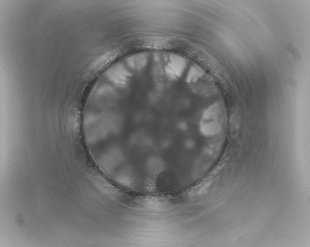 X0000115270305200911271951