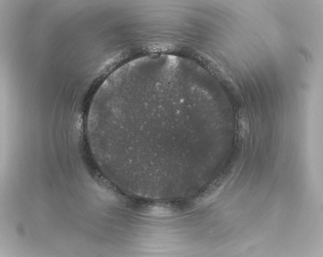 X0000115270308200911271951