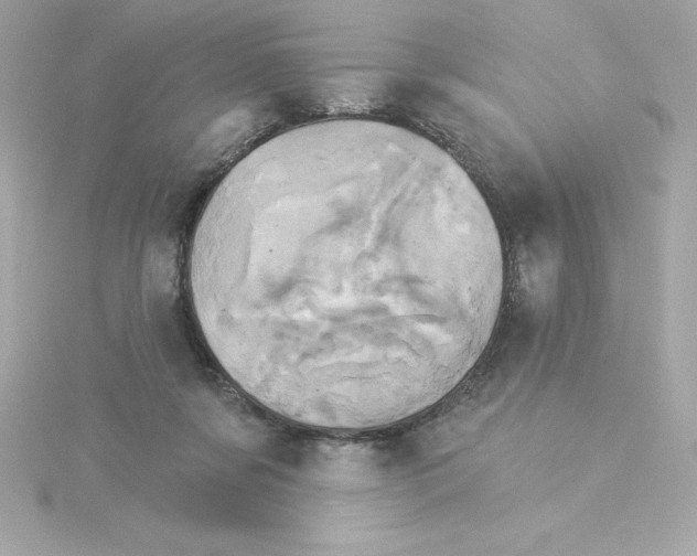 X0000115270311200911271951