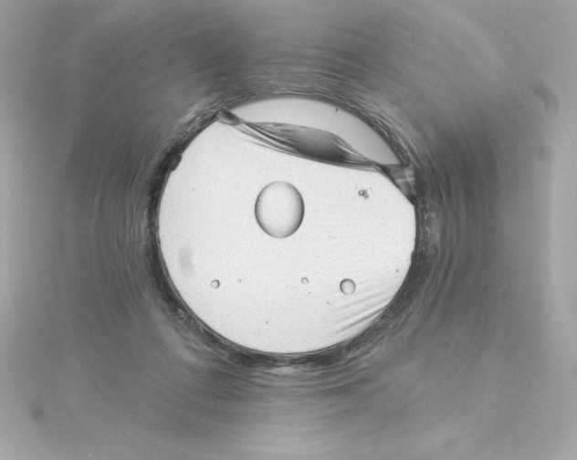 X0000115270312200911271951