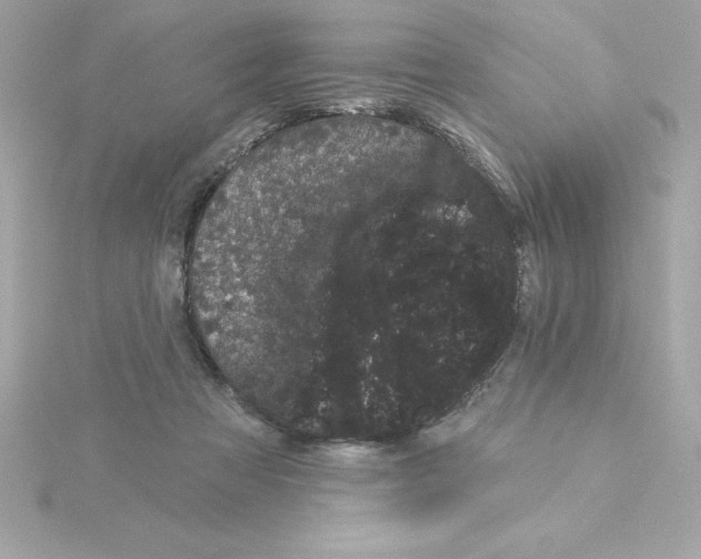 X0000115270313200911271951