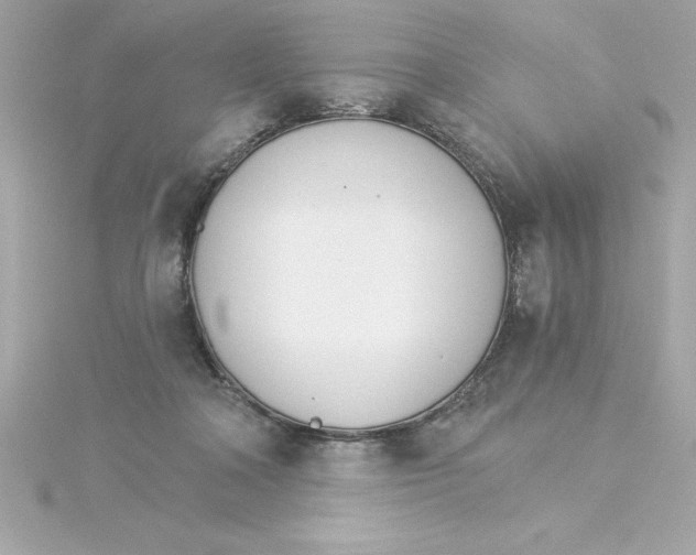 X0000115270314200911271951