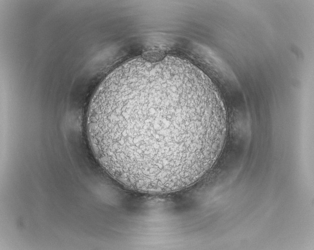 X0000115270315200911271951