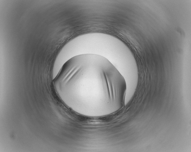 X0000115270316200911271951