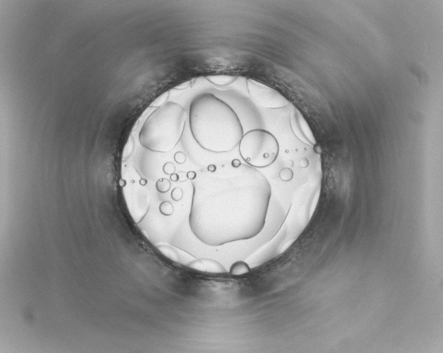 X0000115270317200911271951