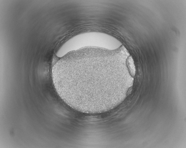 X0000115270320200911271951