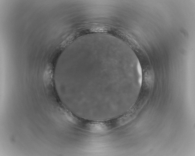 X0000115270322200911271951