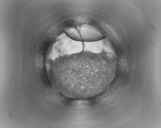 X0000115270323200911271951