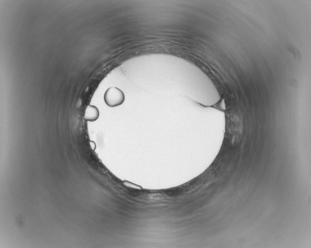 X0000115270324200911271951