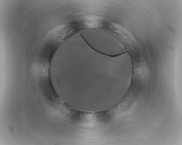 X0000115270325200911271951