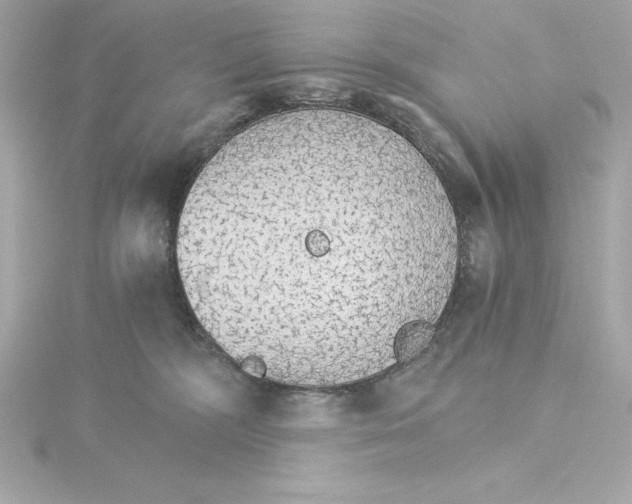 X0000115270326200911271951