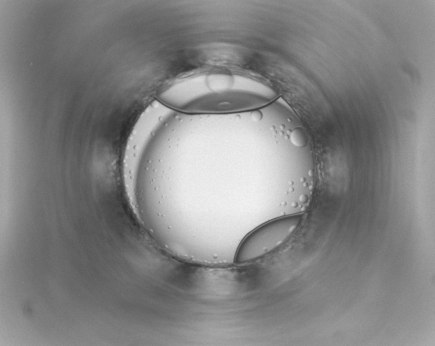 X0000115270327200911271951