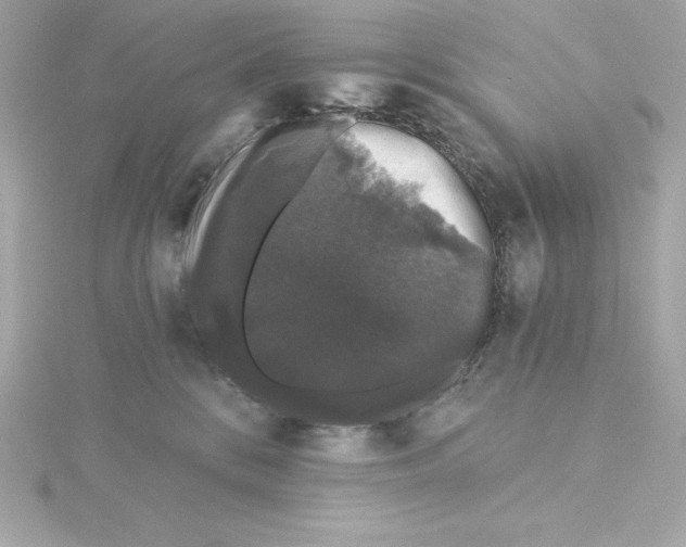 X0000115270328200911271951