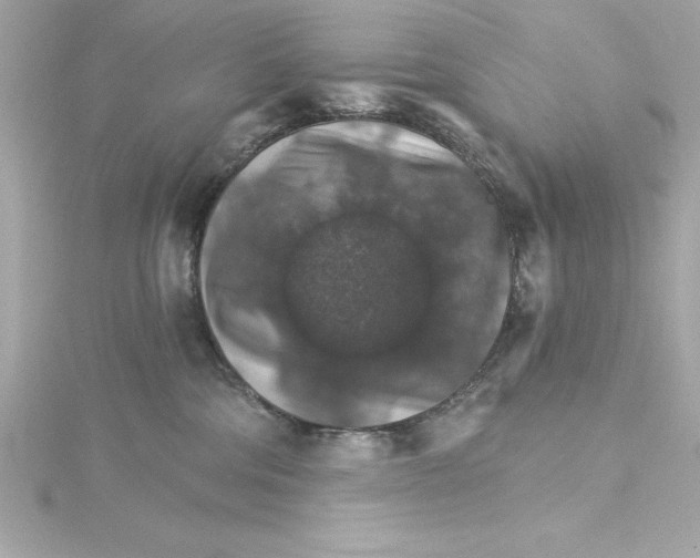 X0000115270330200911271951