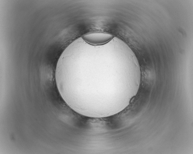 X0000115270331200911271951