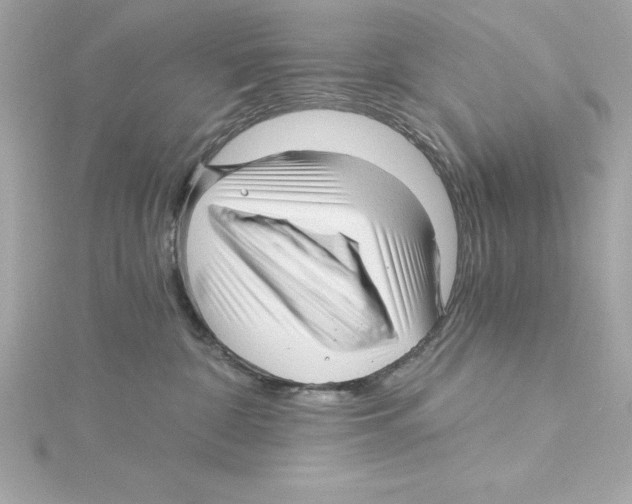 X0000115270332200911271951