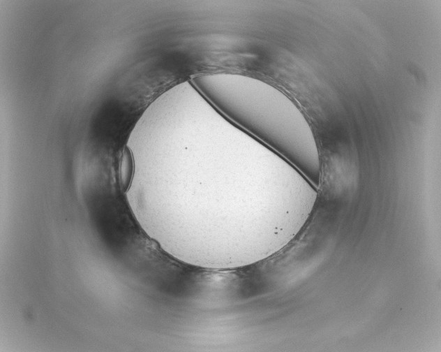 X0000115270333200911271951