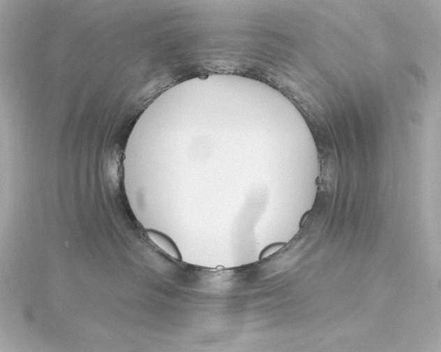 X0000115270334200911271951