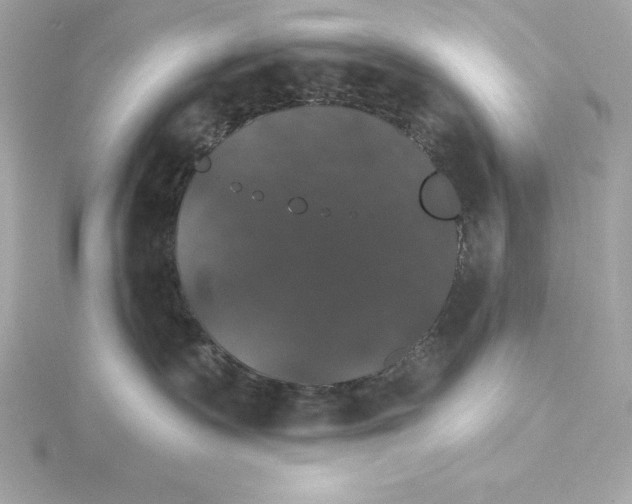 X0000115270335200911271951