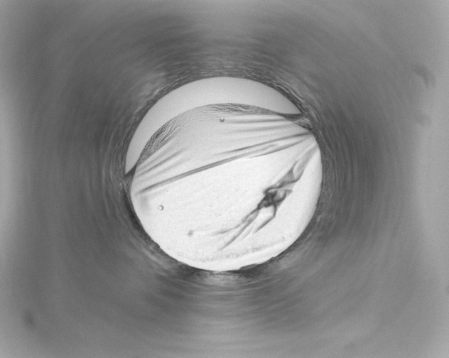 X0000115270336200911271951