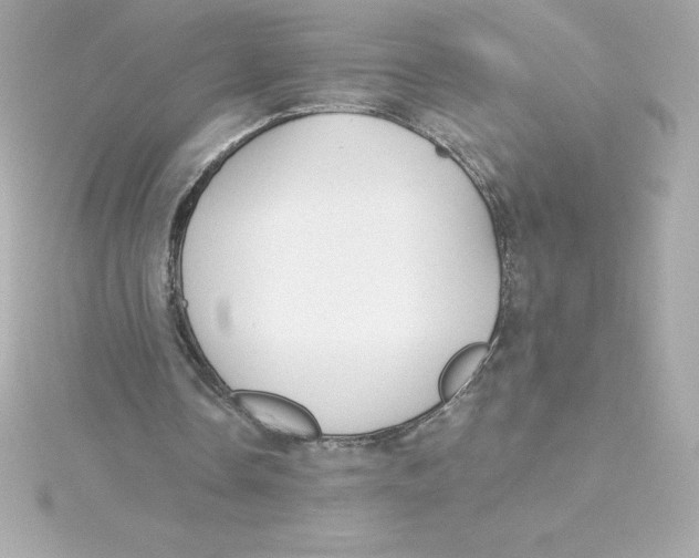 X0000115270338200911271950