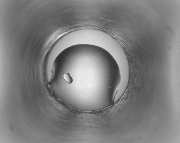 X0000115270339200911271950