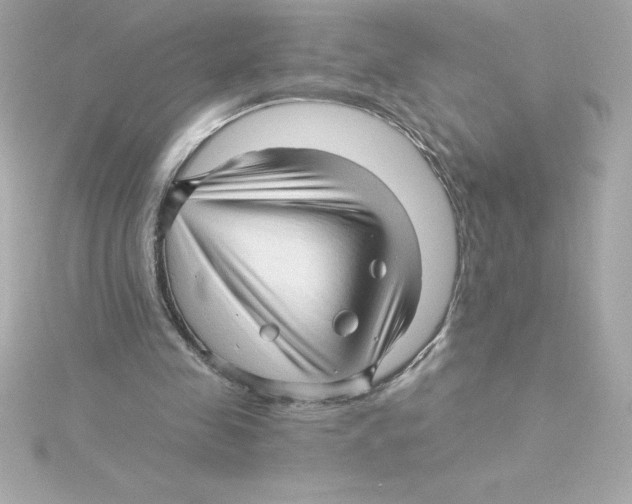 X0000115270341200911271950