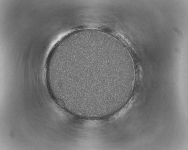 X0000115270342200911271950