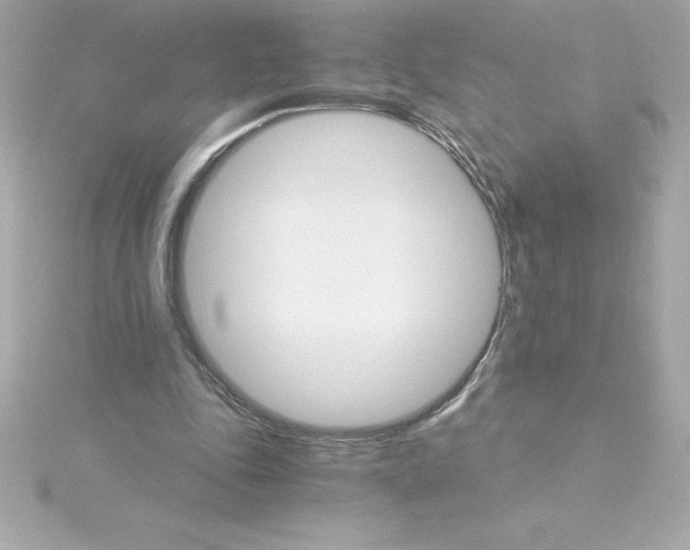 X0000115270343200911271950