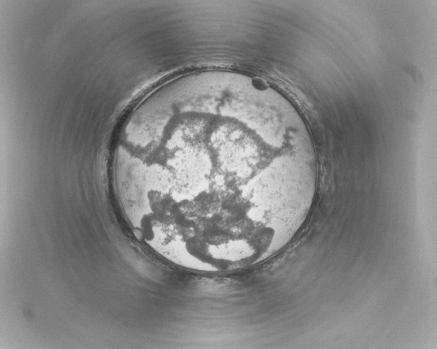 X0000115270346200911271950