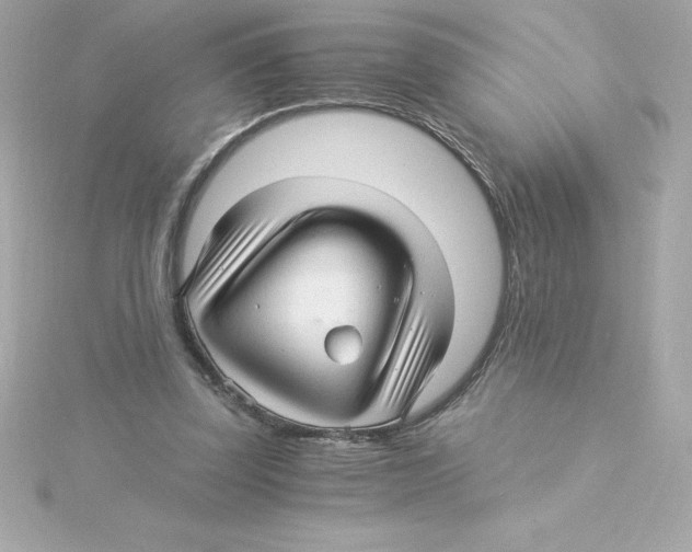 X0000115270347200911271950