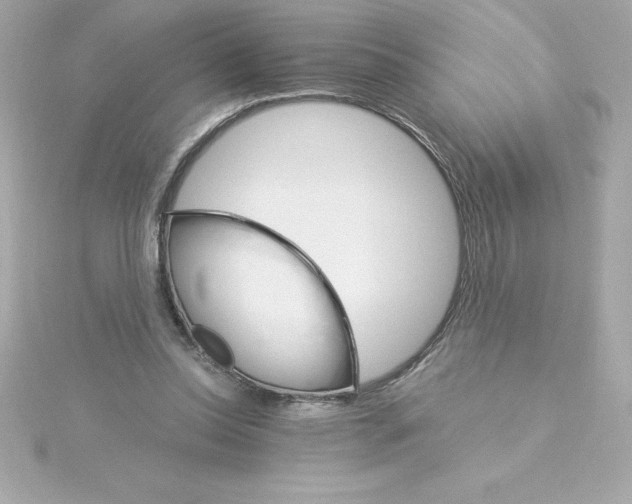 X0000115270350200911271950