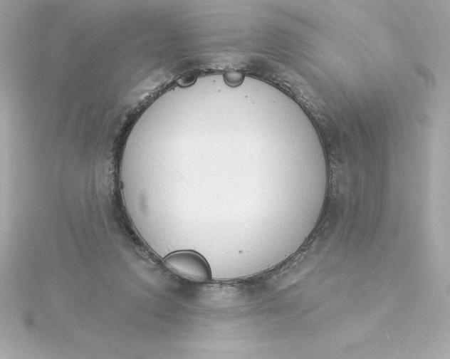 X0000115270354200911271950