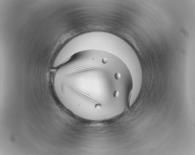 X0000115270357200911271950